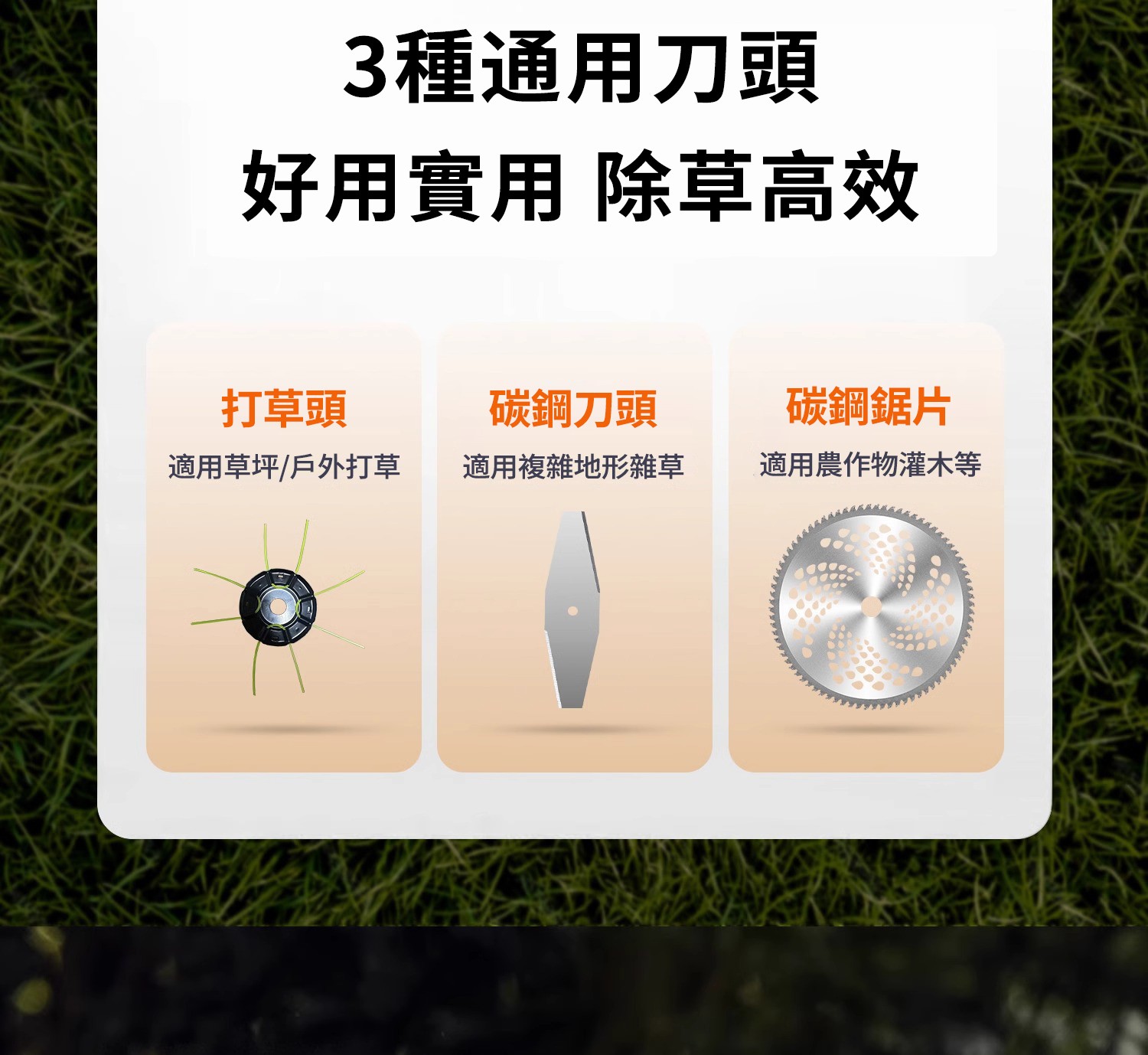 1765962893717863.jpg
